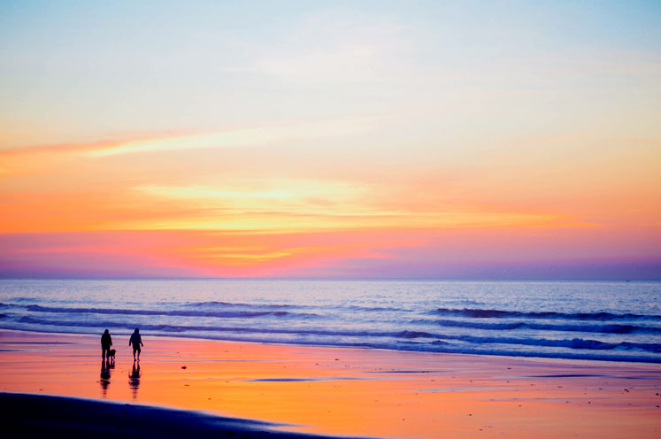 Sober Companion on the Beach at Sunset